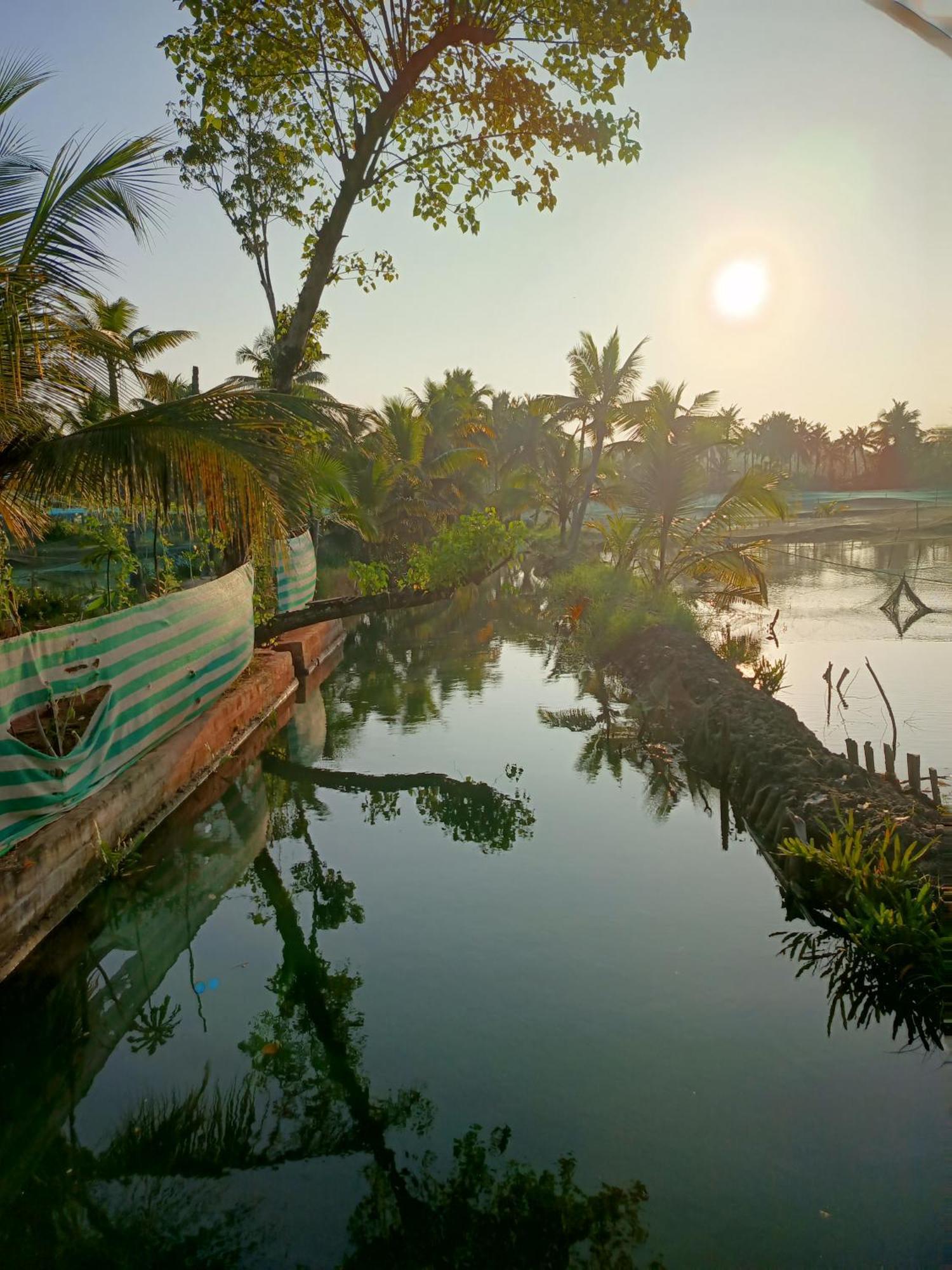 Bliss Homestay Munroe Island Mundrothuruth Exteriér fotografie
