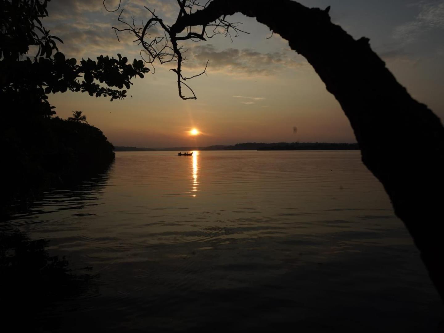 Bliss Homestay Munroe Island Mundrothuruth Exteriér fotografie