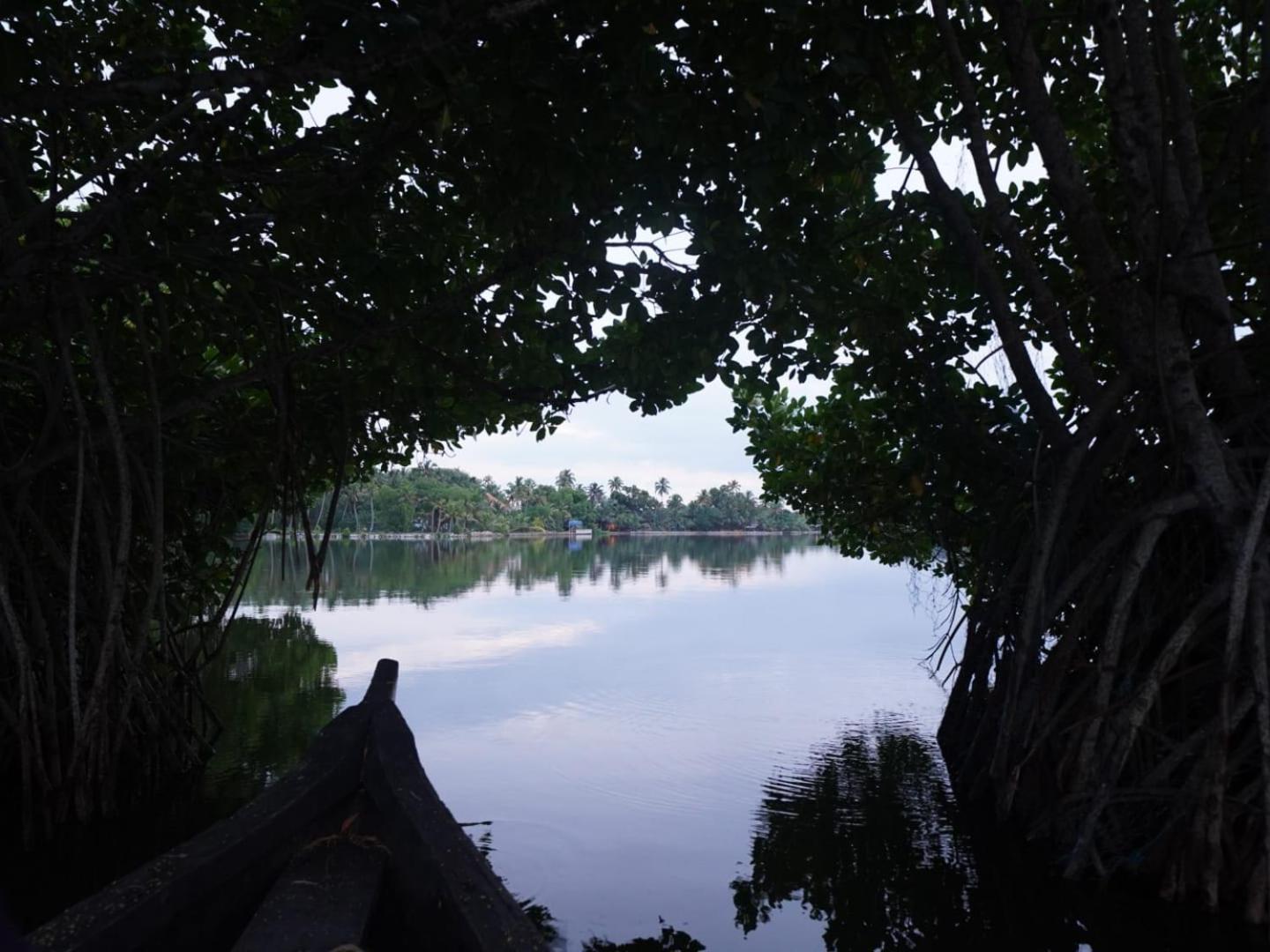 Bliss Homestay Munroe Island Mundrothuruth Exteriér fotografie